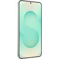 Samsung Galaxy S25+ SM-S936N 12GB/256GB (мятный) Image #4