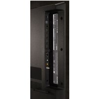 LG OLED C4 OLED42C4RLA Image #12