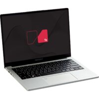 Inferit Silver IFLTSI25P3S11