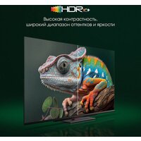 Digma Pro UHD 55C Image #7