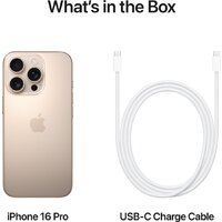 Apple iPhone 16 Pro Dual SIM 1TB (пустынный титан) Image #7