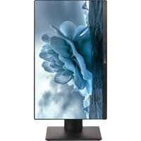 ТЕСЛА P27BPQ 2416500 Image #4