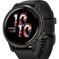 Garmin Venu 2 (сланцевая нержавеющая сталь/черный)