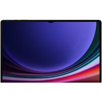 Samsung Galaxy Tab S9 Ultra 5G SM-X916 16GB/1TB (кремовый) Image #2