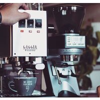 Gaggia Classic Evo Inox 9481/11 Image #3