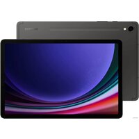 Samsung Galaxy Tab S9 5G SM-X716 8GB/128GB (графитовый) Image #1