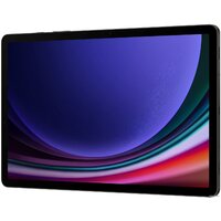 Samsung Galaxy Tab S9 5G SM-X716 12GB/256GB (графитовый) Image #7