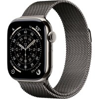 Apple Watch Series 11 LTE 42 мм (титановый корпус, природный/сланец, миланская петля)
