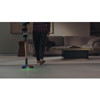 Dyson V16 Piston Animal 492963-01 (матовый черный/медный) Image #16