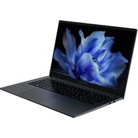 Maibenben P725 P7251SF0LGRE0 Win 11 Pro Image #3