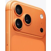 Apple iPhone 17 Pro Max Dual SIM 2TB (космический оранжевый) Image #4